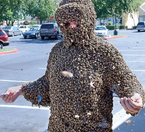 He was recently fired for showing up to work in a suit of bees